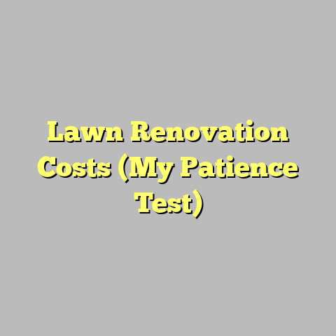 Lawn Renovation Costs (My Patience Test)
