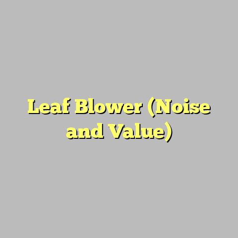 Leaf Blower (Noise and Value)