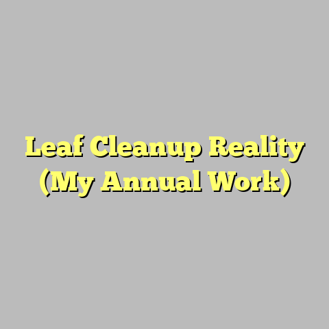 Leaf Cleanup Reality (My Annual Work)