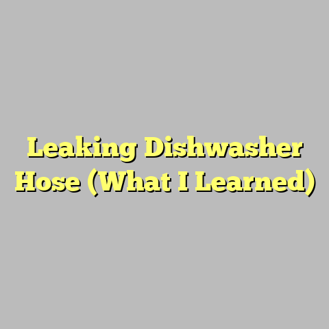 Leaking Dishwasher Hose (What I Learned)