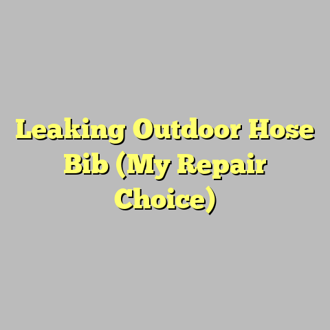 Leaking Outdoor Hose Bib (My Repair Choice)
