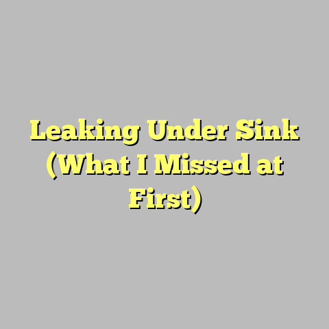 Leaking Under Sink (What I Missed at First)