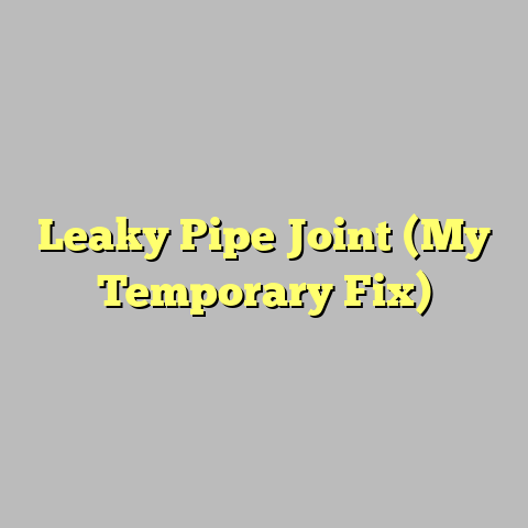 Leaky Pipe Joint (My Temporary Fix)