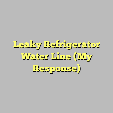 Leaky Refrigerator Water Line (My Response)