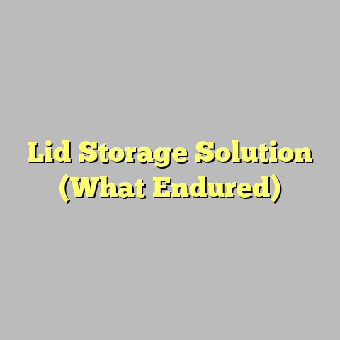 Lid Storage Solution (What Endured)