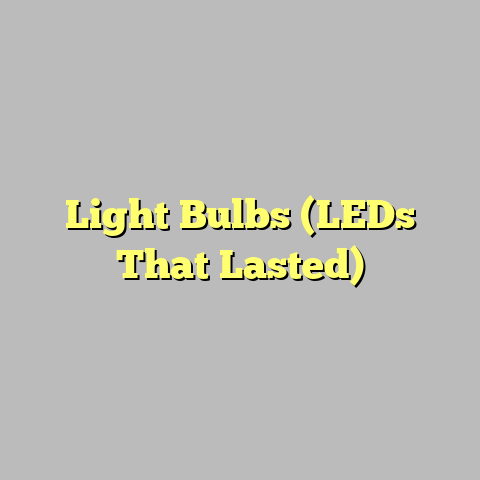 Light Bulbs (LEDs That Lasted)