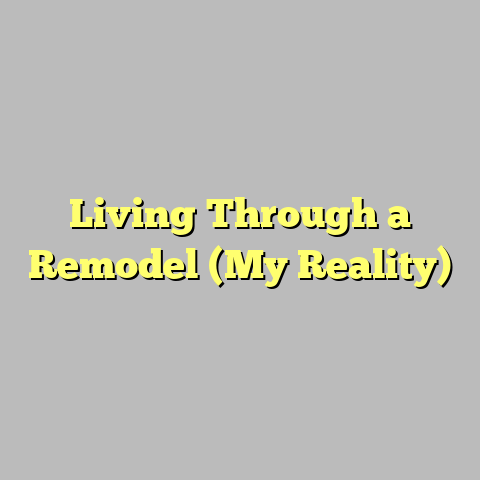 Living Through a Remodel (My Reality)