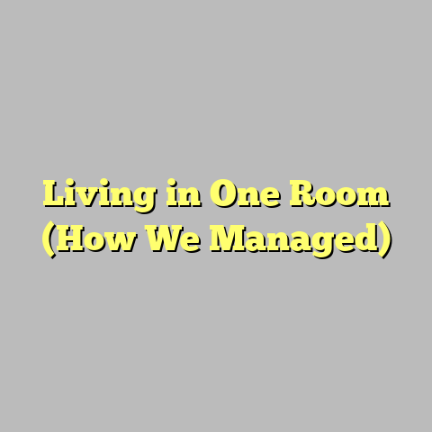 Living in One Room (How We Managed)