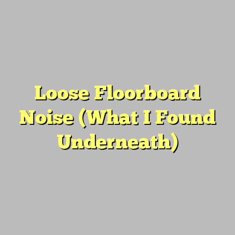 Loose Floorboard Noise (What I Found Underneath)