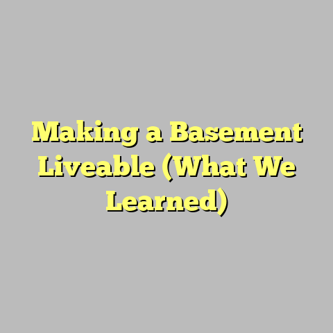 Making a Basement Liveable (What We Learned)