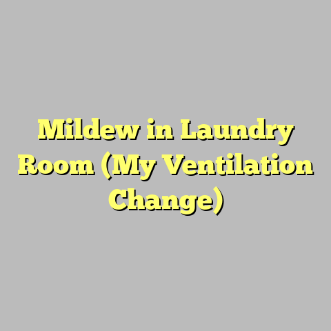 Mildew in Laundry Room (My Ventilation Change)