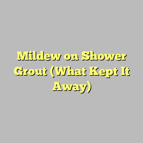 Mildew on Shower Grout (What Kept It Away)