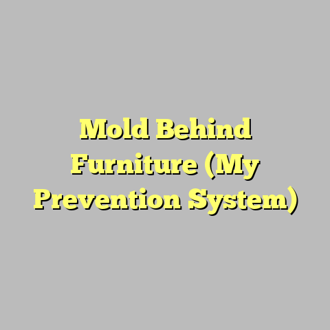 Mold Behind Furniture (My Prevention System)