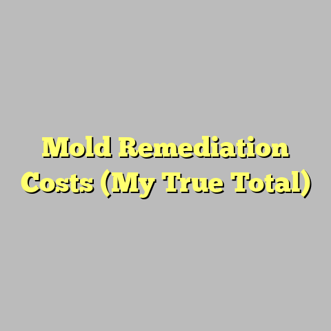 Mold Remediation Costs (My True Total)