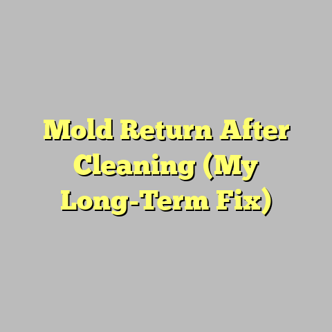 Mold Return After Cleaning (My Long-Term Fix)