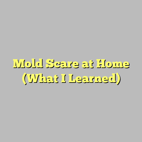 Mold Scare at Home (What I Learned)