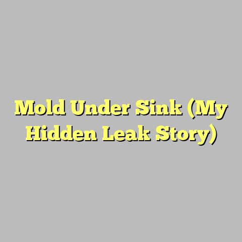 Mold Under Sink (My Hidden Leak Story)
