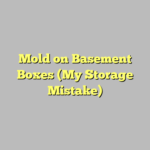 Mold on Basement Boxes (My Storage Mistake)