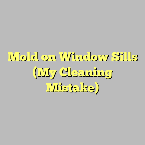 Mold on Window Sills (My Cleaning Mistake)