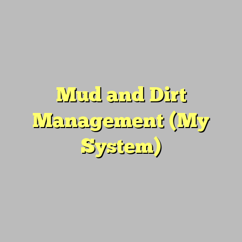 Mud and Dirt Management (My System)