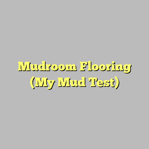 Mudroom Flooring (My Mud Test)