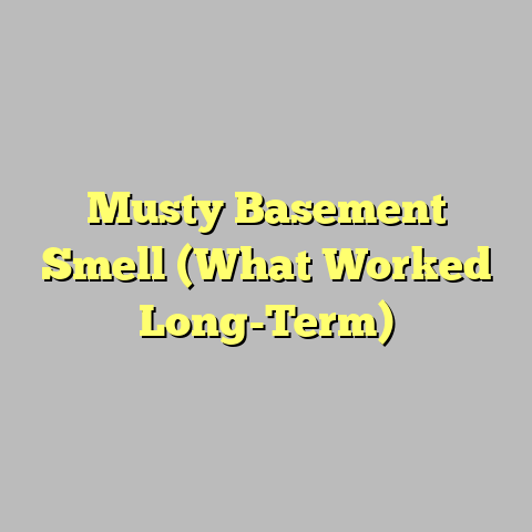 Musty Basement Smell (What Worked Long-Term)