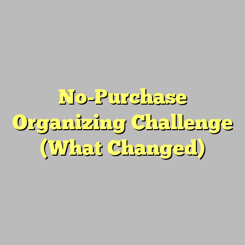 No-Purchase Organizing Challenge (What Changed)