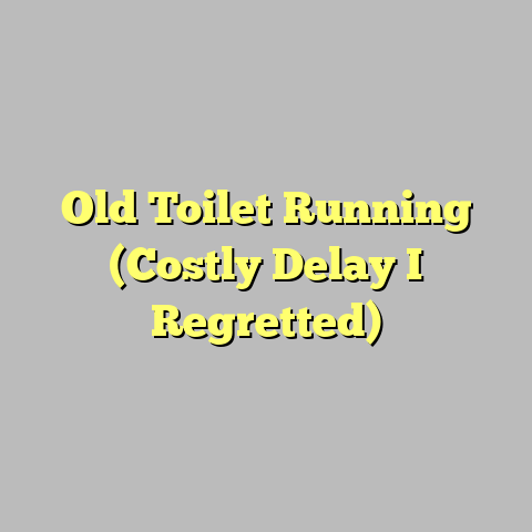 Old Toilet Running (Costly Delay I Regretted)