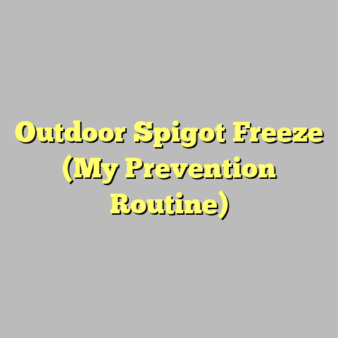 Outdoor Spigot Freeze (My Prevention Routine)