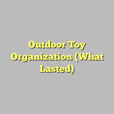Outdoor Toy Organization (What Lasted)