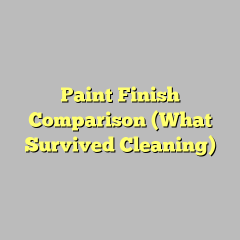 Paint Finish Comparison (What Survived Cleaning)