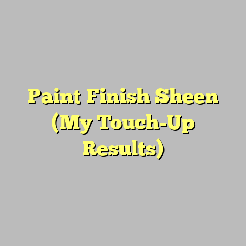 Paint Finish Sheen (My Touch-Up Results)