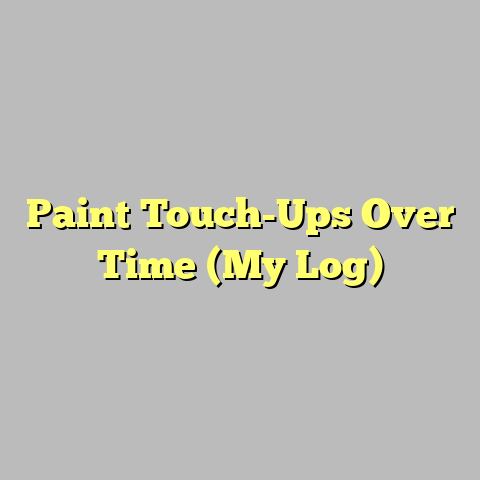 Paint Touch-Ups Over Time (My Log)