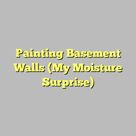 Painting Basement Walls (My Moisture Surprise)