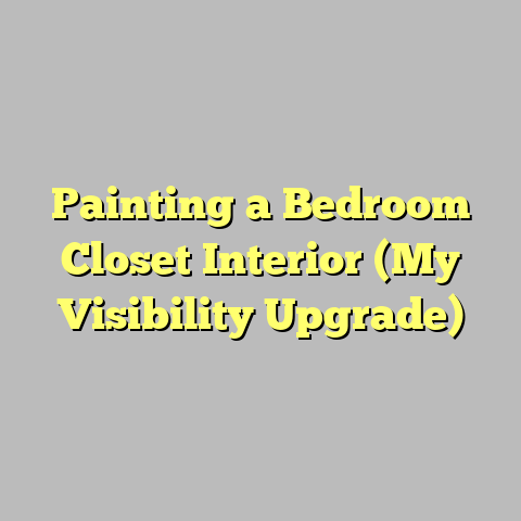 Painting a Bedroom Closet Interior (My Visibility Upgrade)