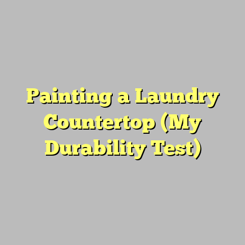 Painting a Laundry Countertop (My Durability Test)