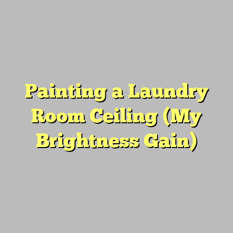 Painting a Laundry Room Ceiling (My Brightness Gain)