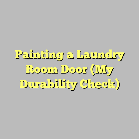 Painting a Laundry Room Door (My Durability Check)