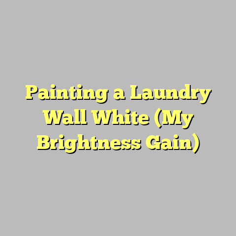 Painting a Laundry Wall White (My Brightness Gain)