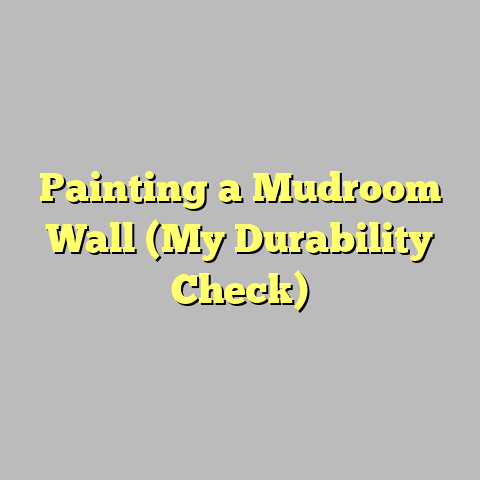 Painting a Mudroom Wall (My Durability Check)
