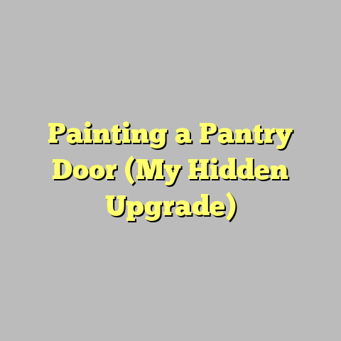 Painting a Pantry Door (My Hidden Upgrade)