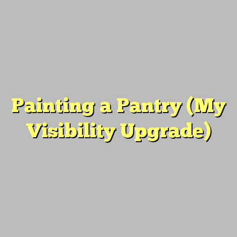 Painting a Pantry (My Visibility Upgrade)