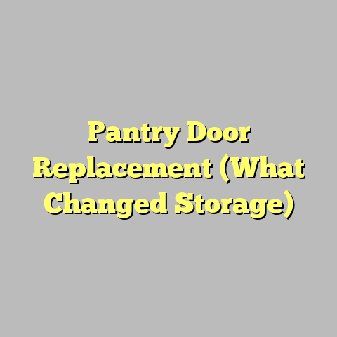 Pantry Door Replacement (What Changed Storage)