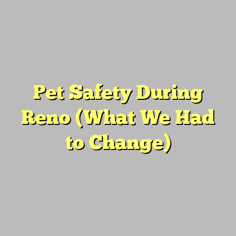 Pet Safety During Reno (What We Had to Change)