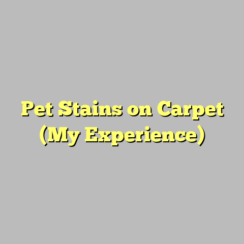 Pet Stains on Carpet (My Experience)