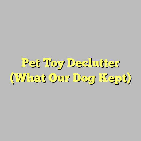 Pet Toy Declutter (What Our Dog Kept)