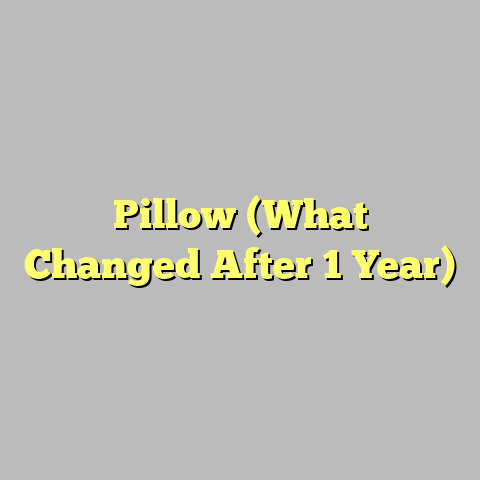 Pillow (What Changed After 1 Year)