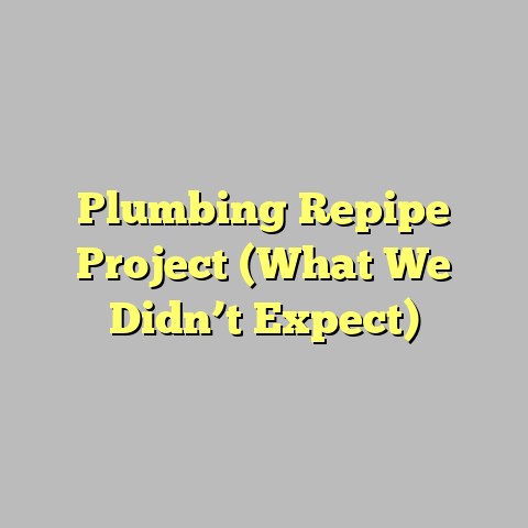 Plumbing Repipe Project (What We Didn’t Expect)