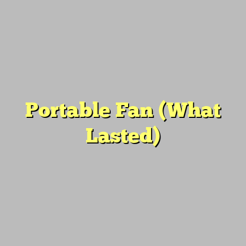 Portable Fan (What Lasted)