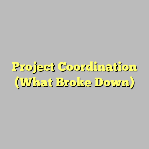 Project Coordination (What Broke Down)